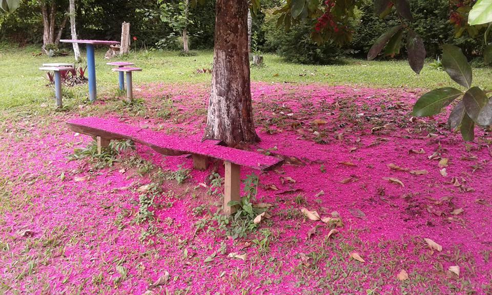 Pouso Jambo Rosa Hotel Valenca  Luaran gambar